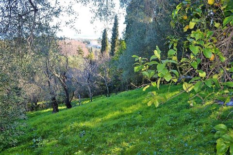 10000m² Land in Corfu, Greece No. 57600 12