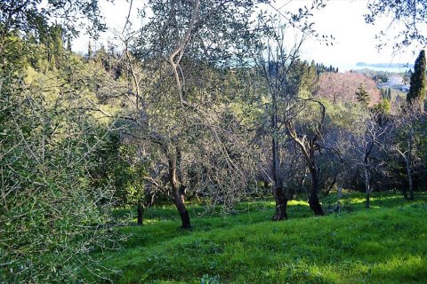 10000m² Land in Corfu, Greece No. 57600 13