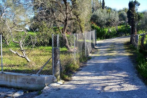 10000m² Land in Corfu, Greece No. 57600 6