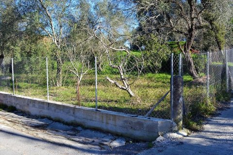 10000m² Land en Corfu, Greece No. 57600 5