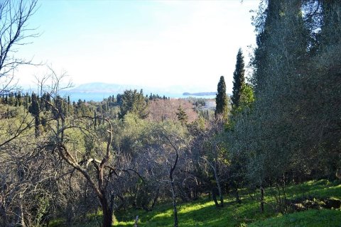 10000m² Land en Corfu, Greece No. 57600 2