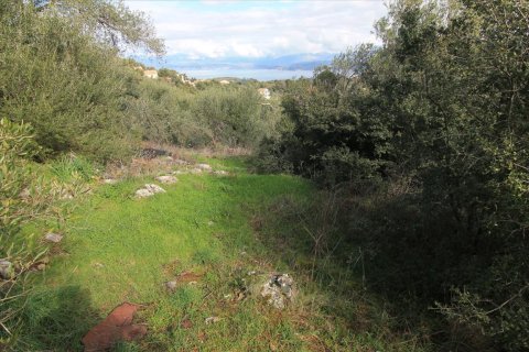 4000m² Land in Corfu, Greece No. 57595 2