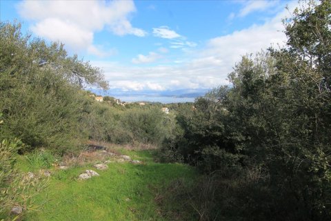 4000m² Land en Corfu, Greece No. 57595 3