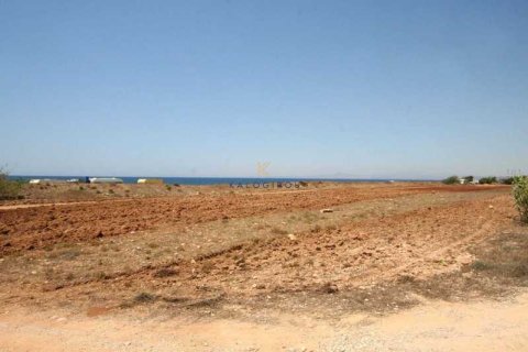 12065m² Land in Ormideia, Cyprus No. 35942 3