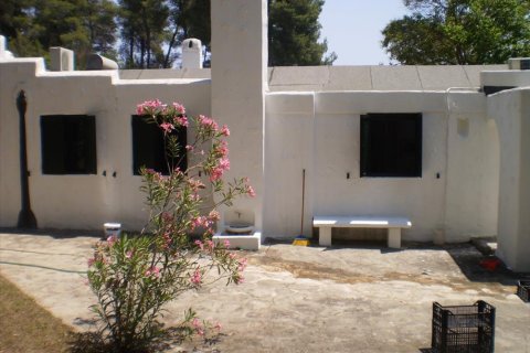 2 bedrooms Villa in Chalkidiki, Greece No. 49024 14