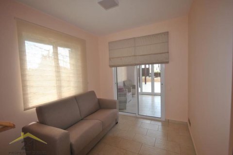 4 bedrooms Bungalow in Tala, Cyprus No. 39159 12