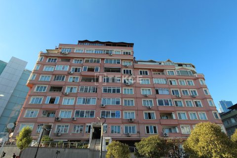 3+1 Apartment in Istanbul, Turkey No. 46571 1