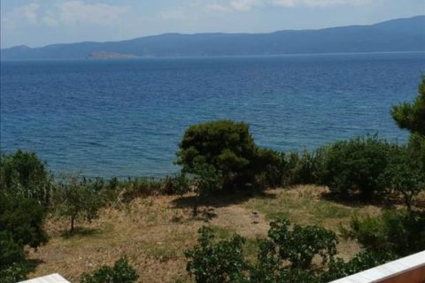 480m² Negocio en Agioi Theodoroi, Greece No. 57179 11