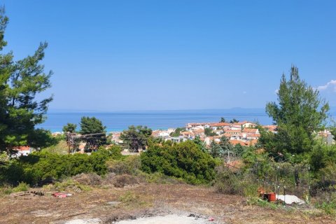 4500m² Land à Chalkidiki, Greece No. 57183 4