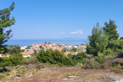 4500m² Land in Chalkidiki, Greece No. 57183 1