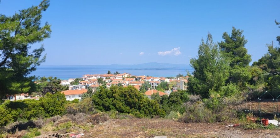 4500m² Land in Chalkidiki, Greece No. 57183