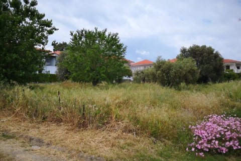 4500m² Land in Chalkidiki, Greece No. 57183 3