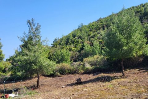 4500m² Land in Chalkidiki, Greece No. 57183 2