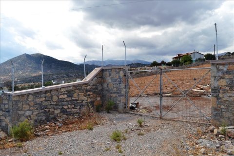 9800m² Land in Agios Nikolaos, Greece No. 59019 3