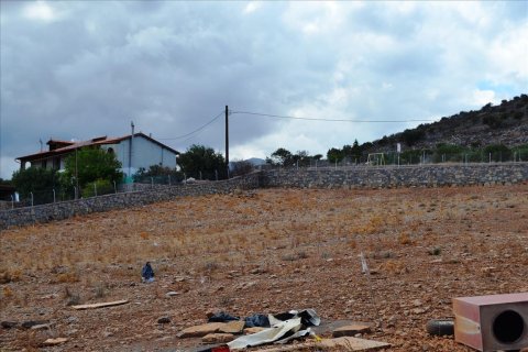 9800m² Land in Agios Nikolaos, Greece No. 59019 6