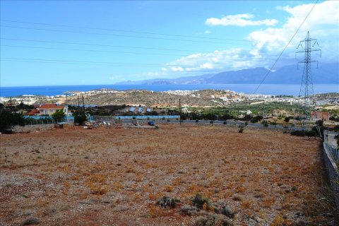 9800m² Land in Agios Nikolaos, Greece No. 59019 5