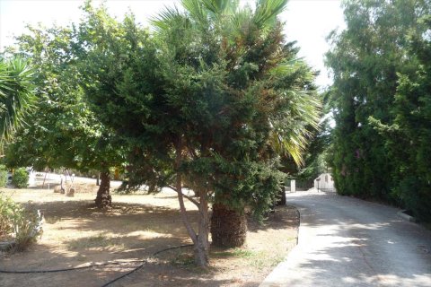 332m² Business in Elis, Greece No. 59007 8