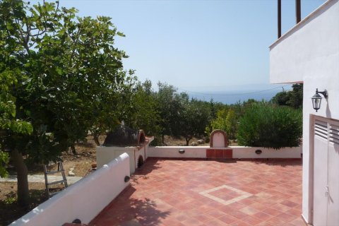 332m² Negocio en Elis, Greece No. 59007 10