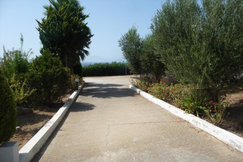 332m² Negocio en Elis, Greece No. 59007 25