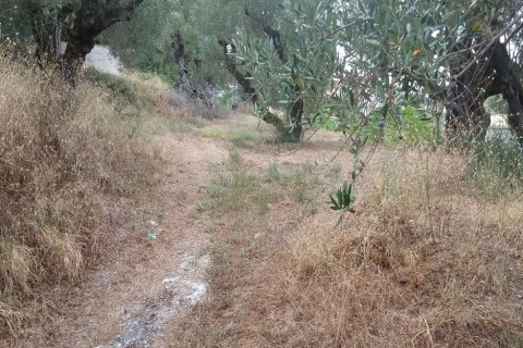 Land en Zakynthos, Greece No. 24596 14