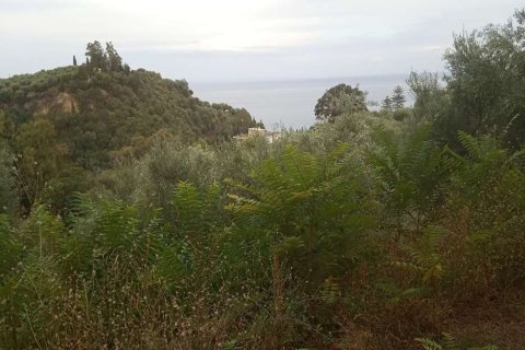 Land en Zakynthos, Greece No. 24596 9