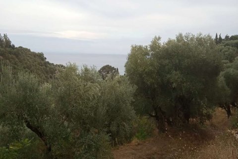 Land en Zakynthos, Greece No. 24596 16