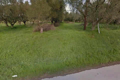 Land in Zakynthos, Greece No. 24599 2