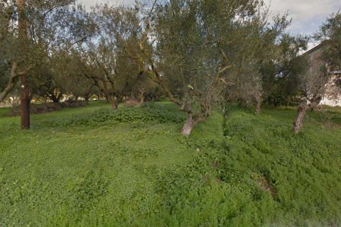 Land en Zakynthos, Greece No. 24599 6