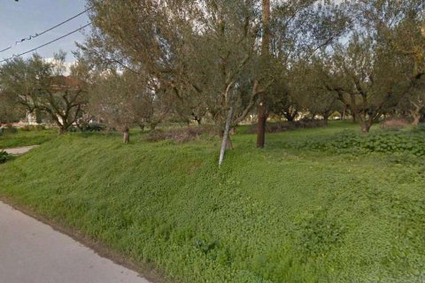 Land in Zakynthos, Greece No. 24599 5