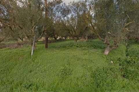 Land in Zakynthos, Greece No. 24599 1