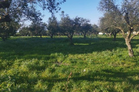 Land in Zakynthos, Greece No. 24598 2