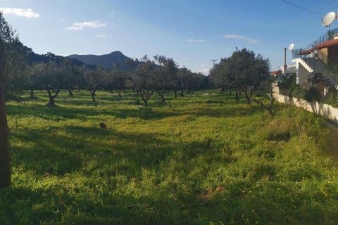 Land in Zakynthos, Greece No. 24598 4