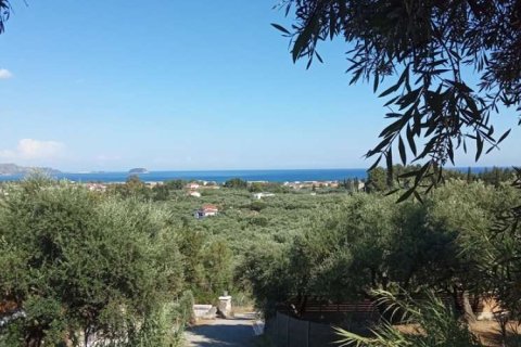 Land in Zakynthos, Greece No. 24601 12