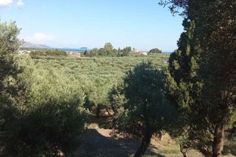 Land in Zakynthos, Greece No. 24601 8