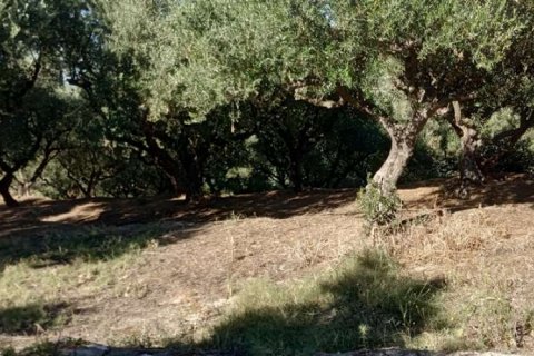 Land in Zakynthos, Greece No. 24601 10