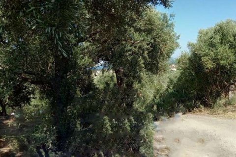 Land in Zakynthos, Greece No. 24601 11