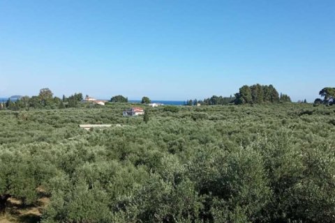 Land in Zakynthos, Greece No. 24601 13