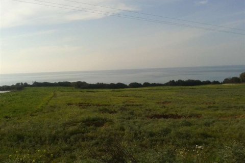 Land in Elis, Greece No. 28144 3