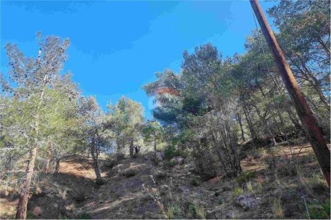 21690m² Land en Moniatis, Cyprus No. 35832 5