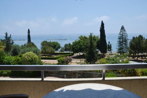 Apartamento tipo estudio Estudio en Limassol, Cyprus No. 50125 15