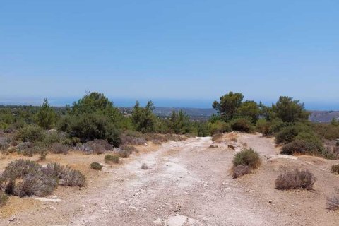 85000m² Land à Sotira, Cyprus No. 42105 2