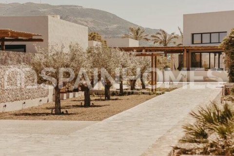 5 dormitorios Villa en Yecla, Spain No. 25895 2