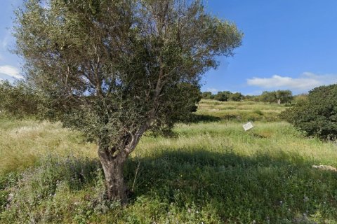 4150m² Land en Zakynthos, Greece No. 54861 1