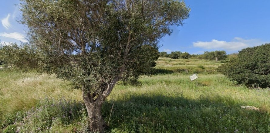 4150m² Land in Zakynthos, Greece No. 54861