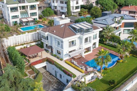 6+2 Villa à Istanbul, Turkey No. 12361 2