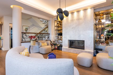 6+2 Villa à Istanbul, Turkey No. 12361 18