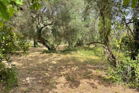 5020m² Land in Corfu, Greece No. 54434 9