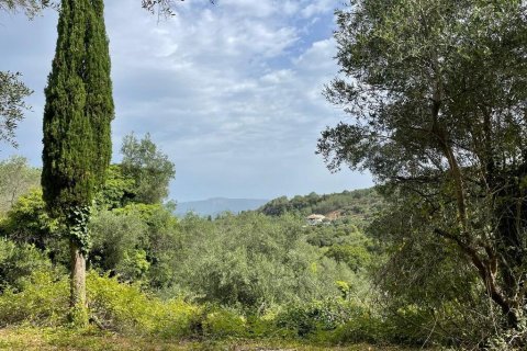 5020m² Land à Corfu, Greece No. 54434 11