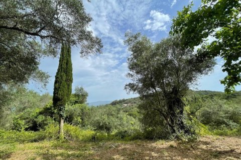 5020m² Land in Corfu, Greece No. 54434 1