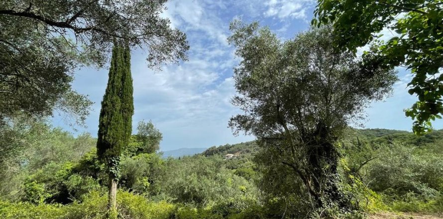 5020m² Land en Corfu, Greece No. 54434